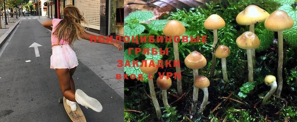 мяу мяу мука Ладушкин
