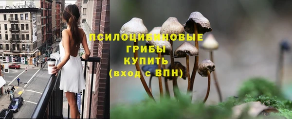 мяу мяу мука Ладушкин