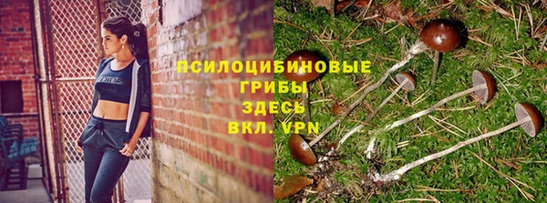 стаф Лабытнанги