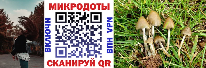 Купить  Петухово  Псилоцибиновые грибы GOLDEN TEACHER 